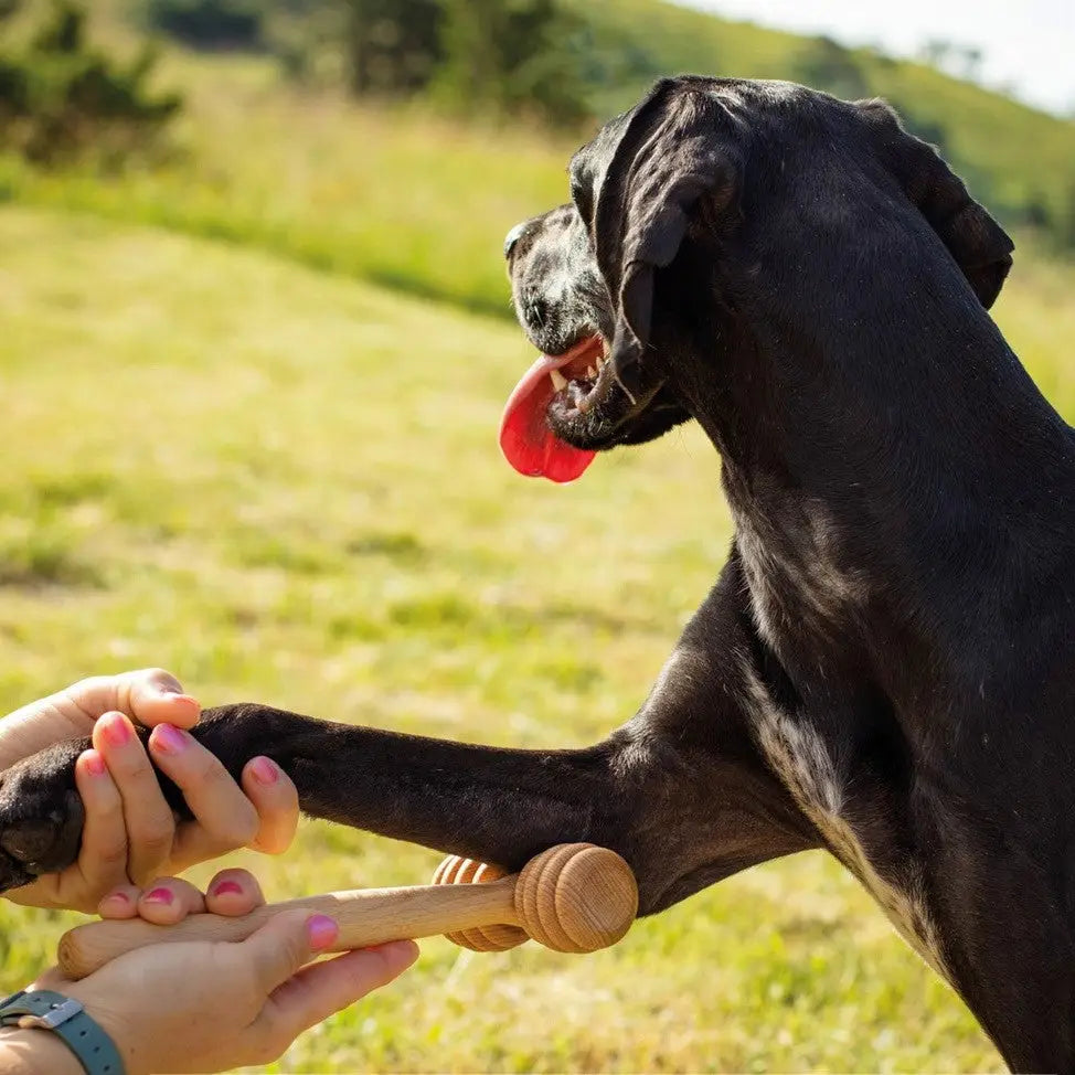 Akcesoria dla zwierząt Tuuli