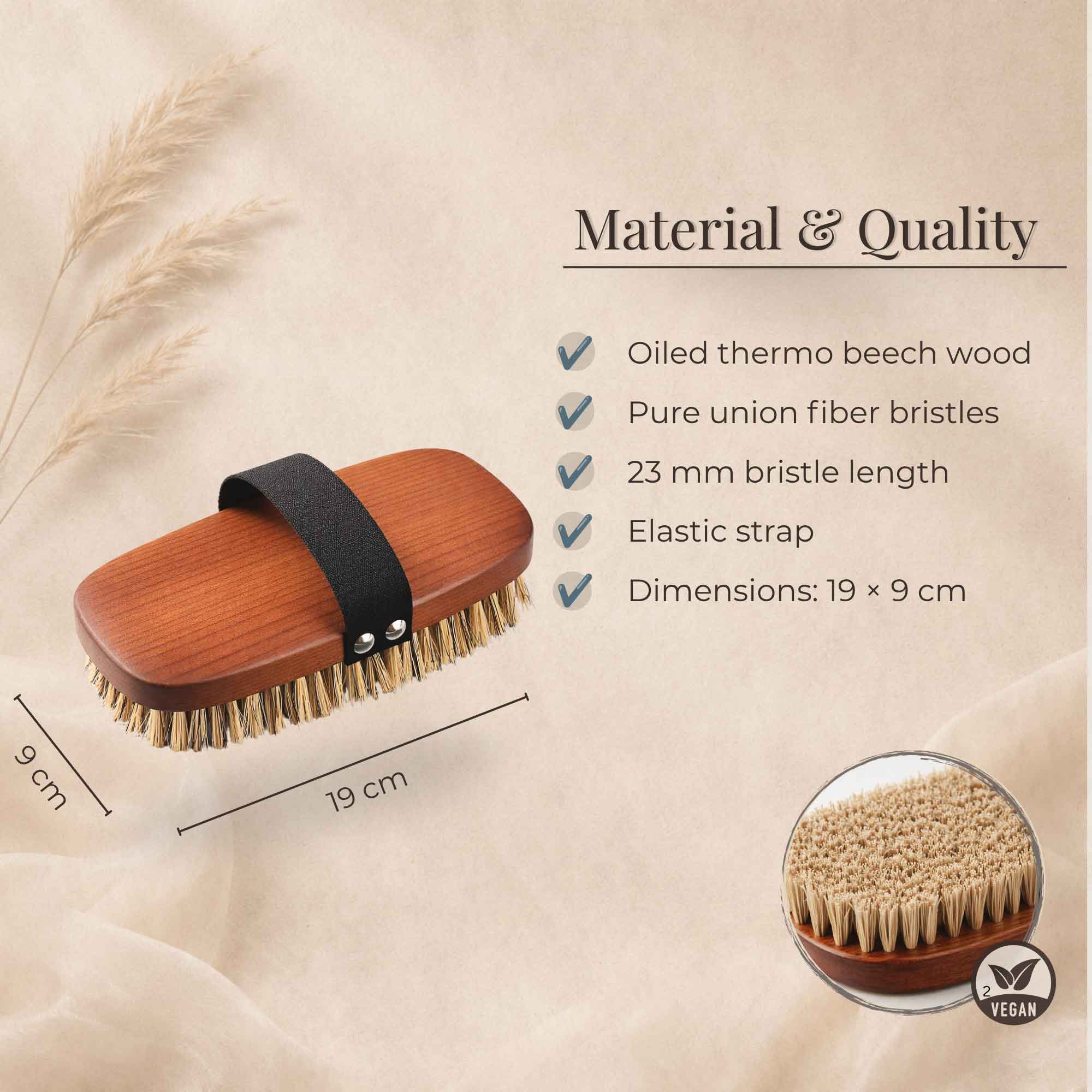 Material and size guide graphic for beechwood horse grooming brush