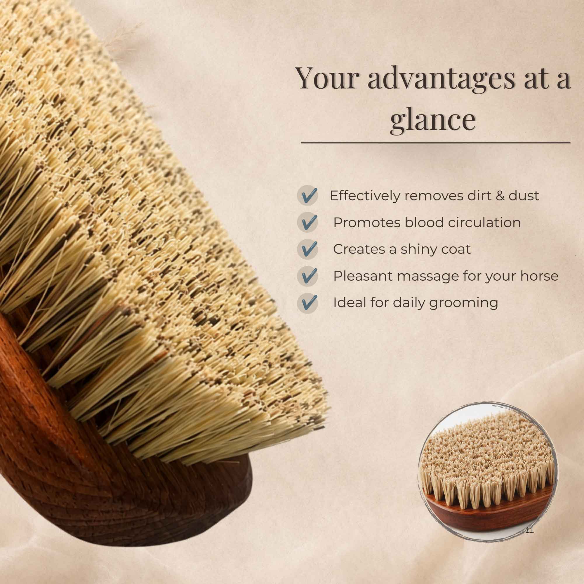 Close-up feature graphic of horse brush bristles with advantages text