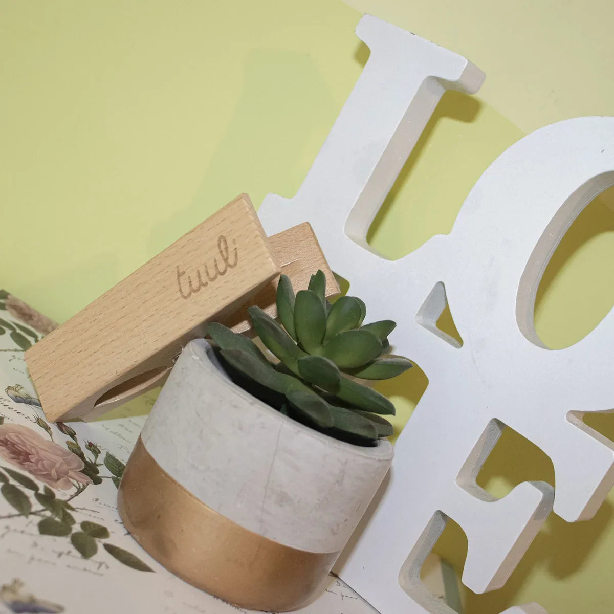 Milieuvriendelijke houten clips set met natuurlijke nerf en vakmanschap