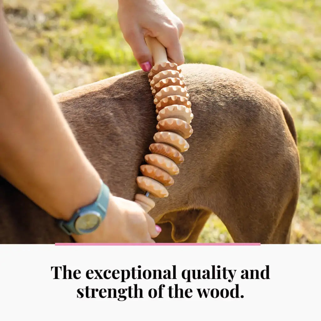 Rustgevende hondenmassageapparatuur