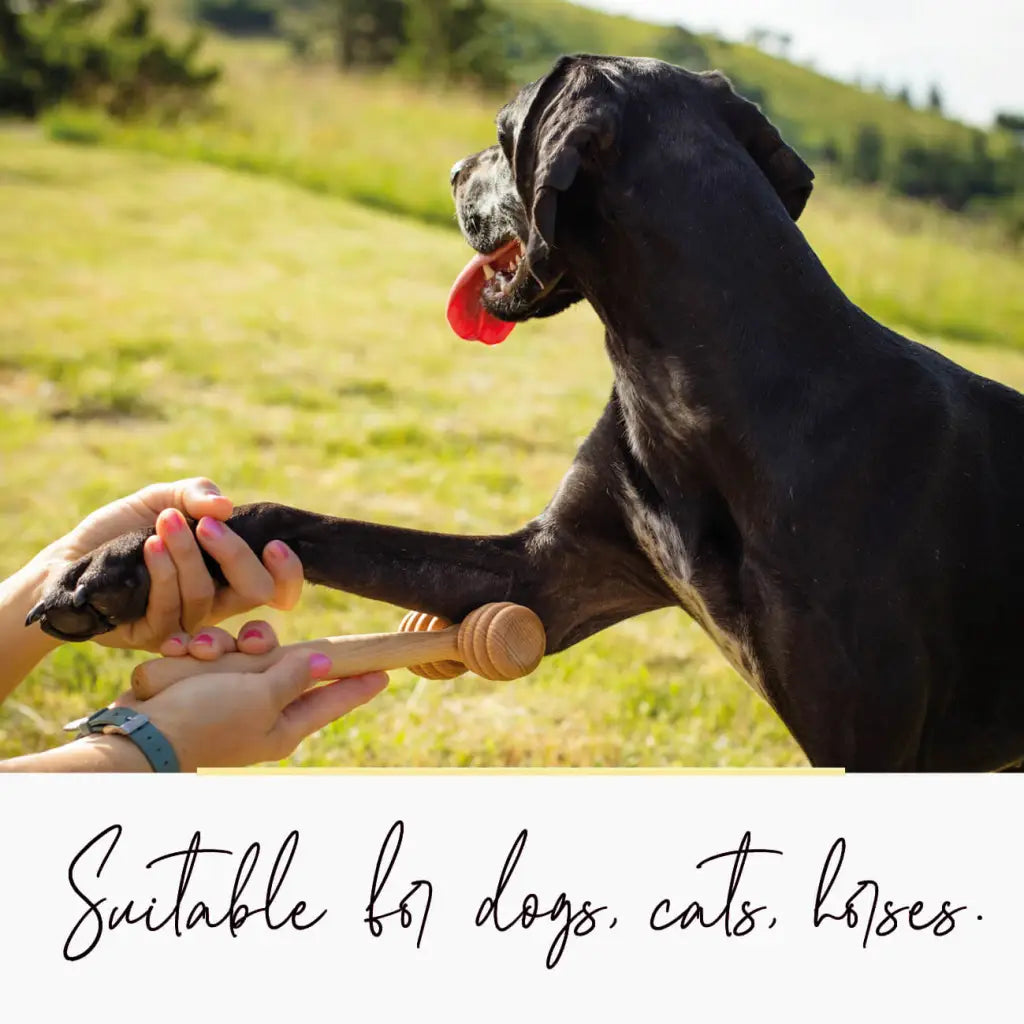 Dog Relaxation Massager