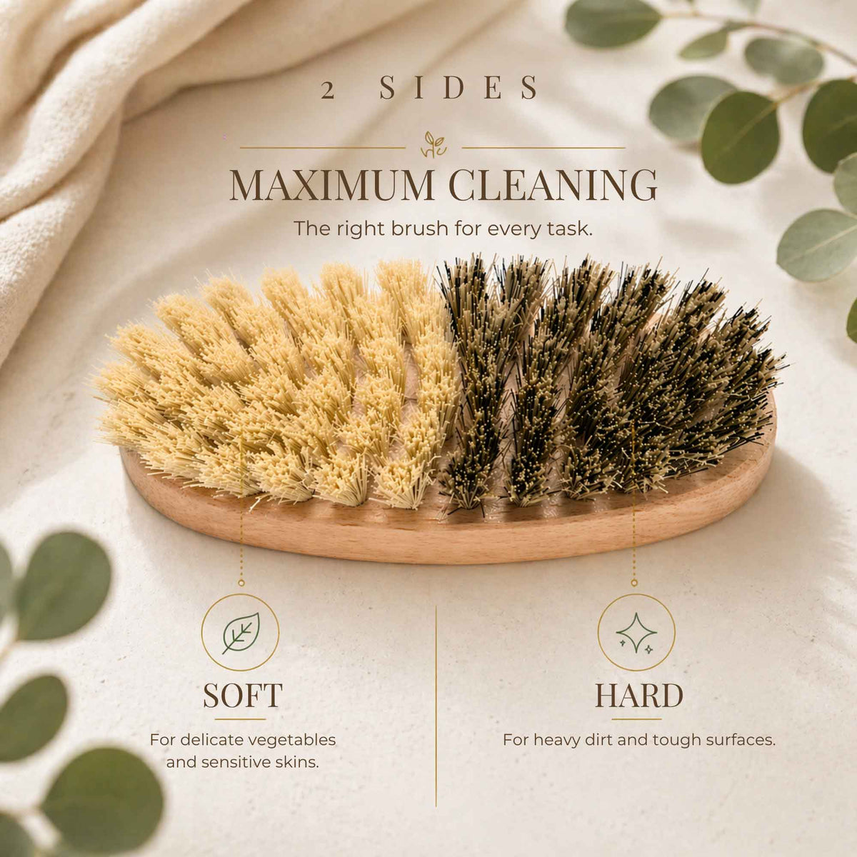 Close-up of Tuuli wooden vegetable brush showing light and dark bristle sections