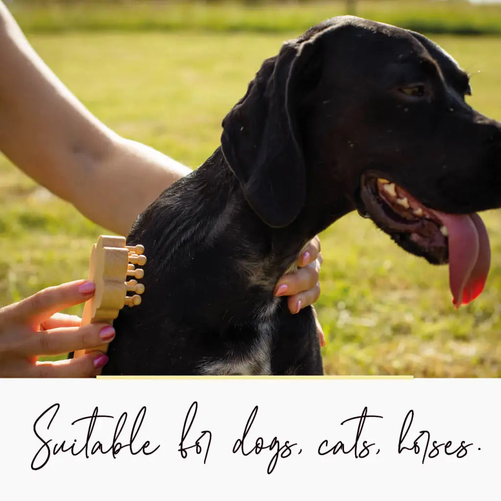 Brosse pour animaux à poils naturels