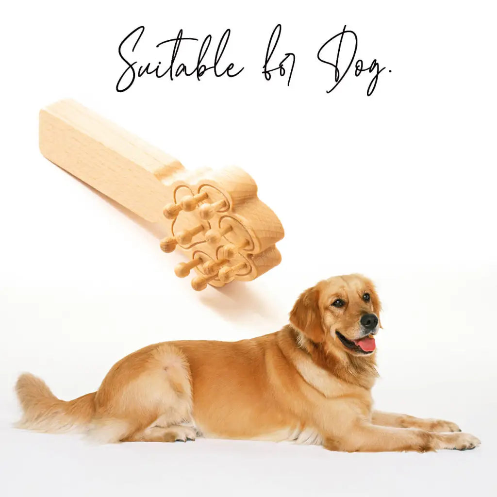 Masseur manuel en bois