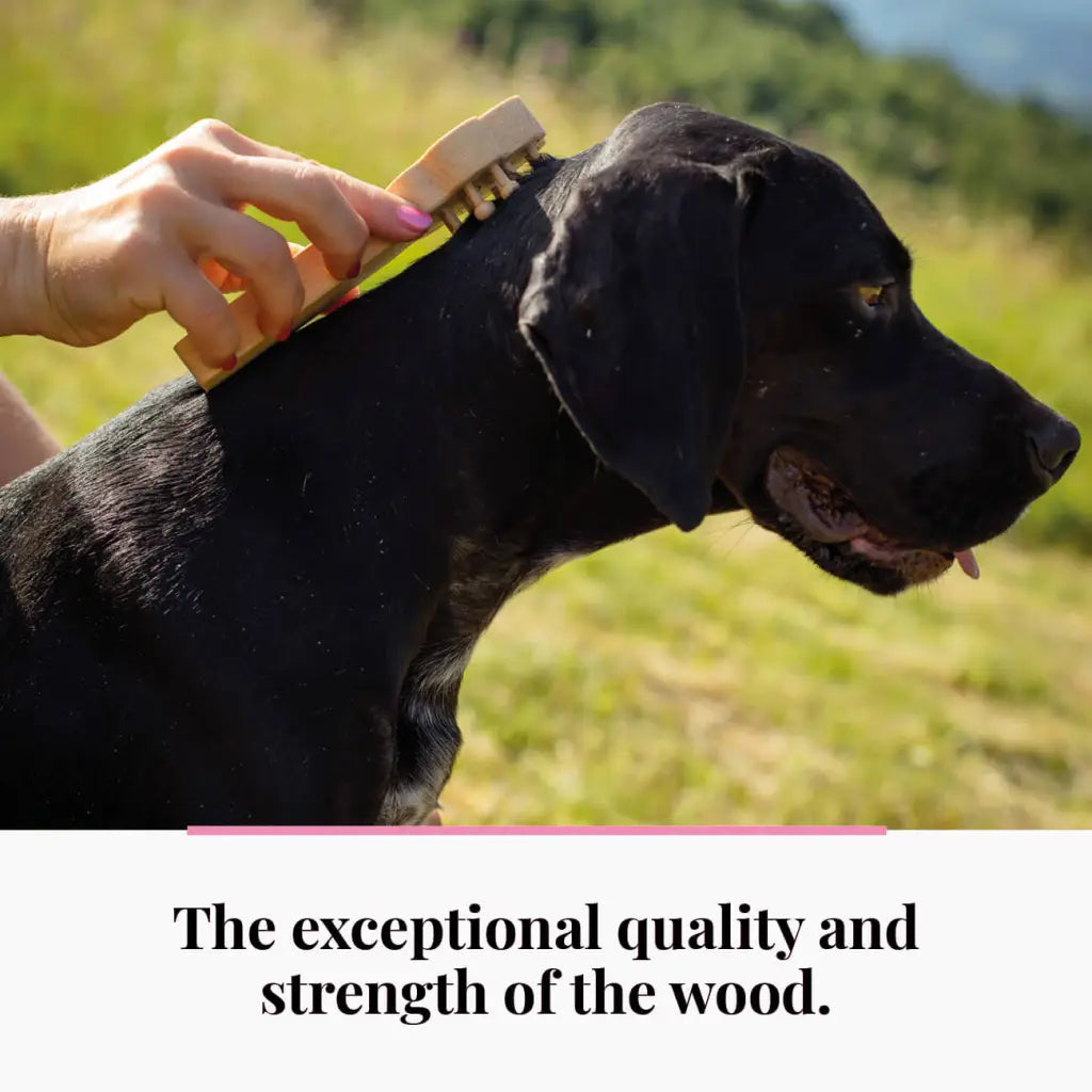 Soulagement du stress pour les animaux