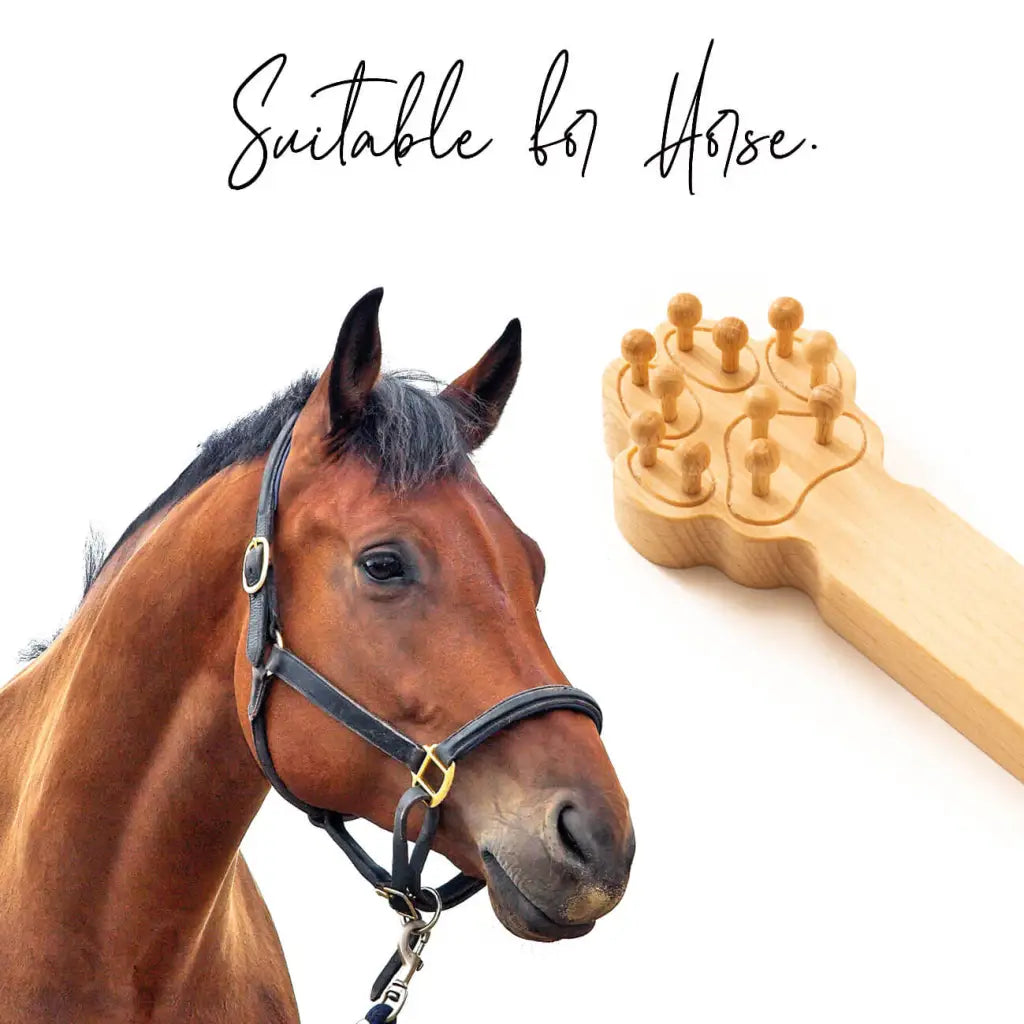 Bien-être et toilettage des animaux