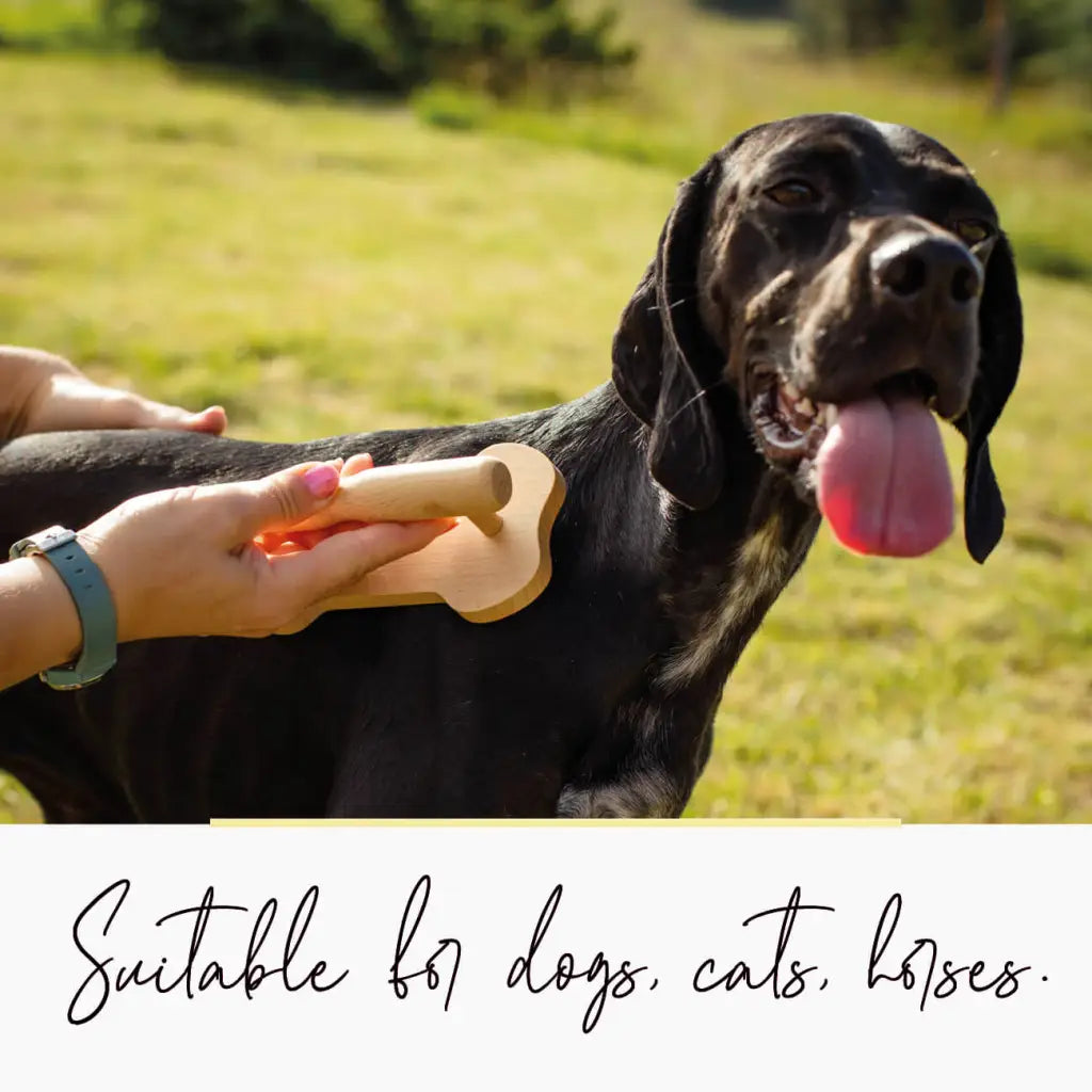 فرشاة تدليك خشبية للكلاب للاسترخاء