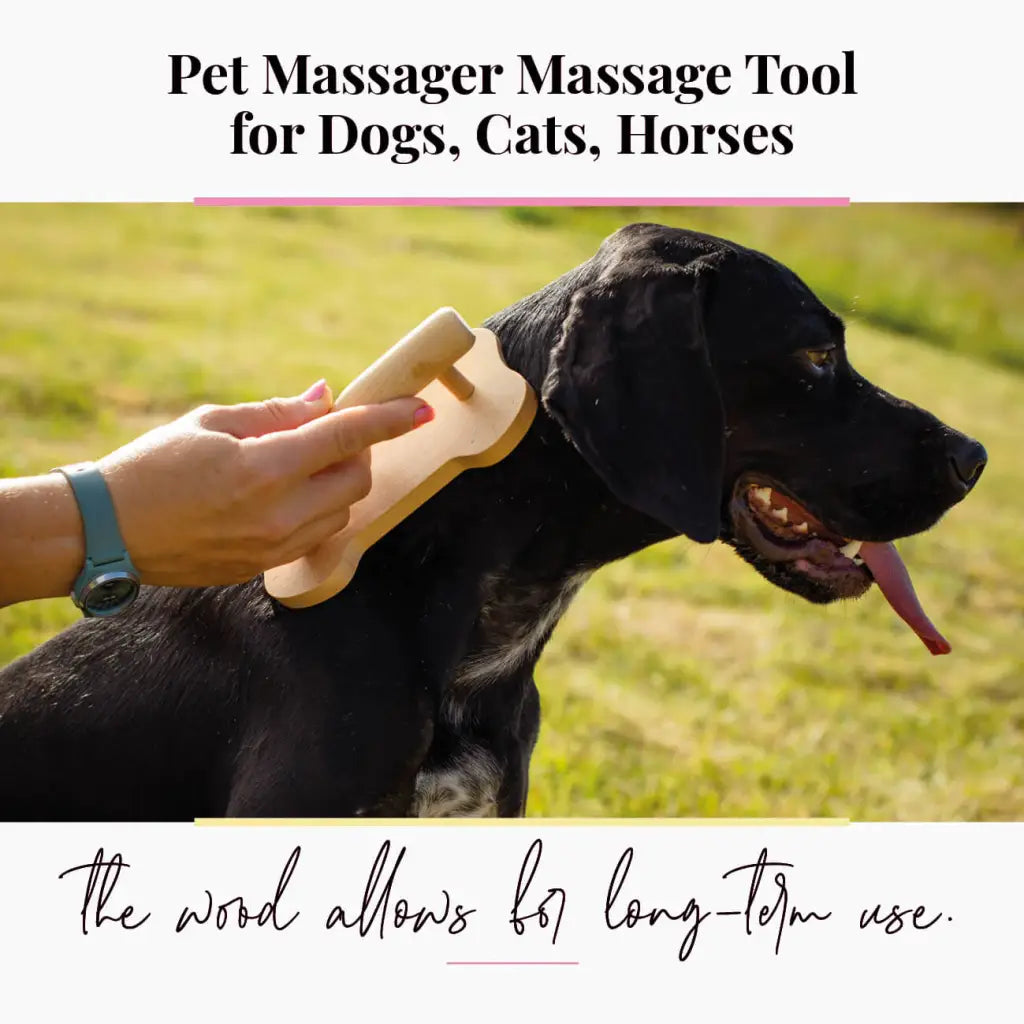 إكسسوار فاخر للعناية بالفرو مصنوع من الخشب