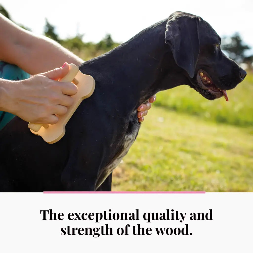 منتج العناية بالحيوانات الأليفة