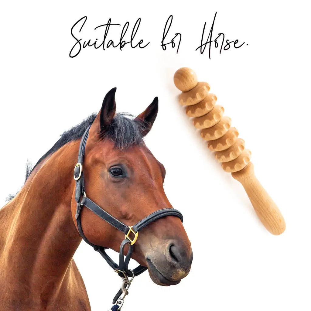 Prírodný terapeutický nástroj na kone