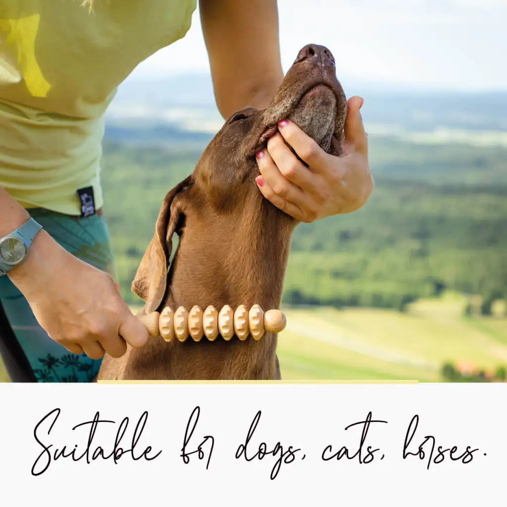 Pomôcka na relaxáciu pre domáce zvieratá