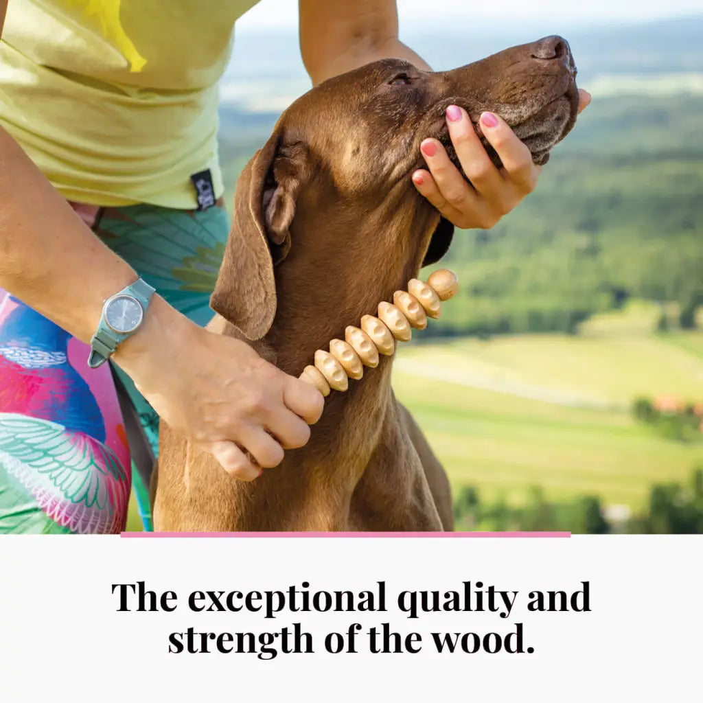 Ručne vyrobený masážny prístroj pre domáce zvieratá