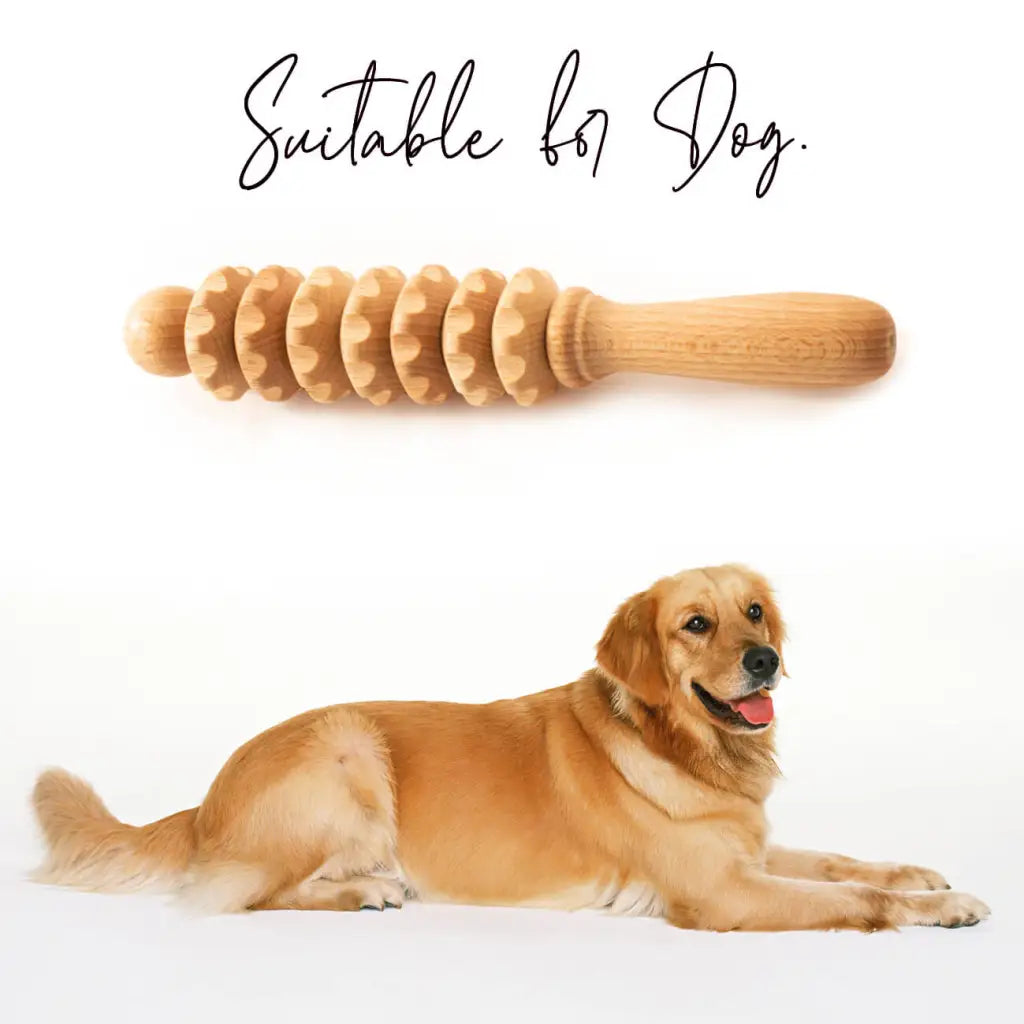 Masážny nástroj pre psa