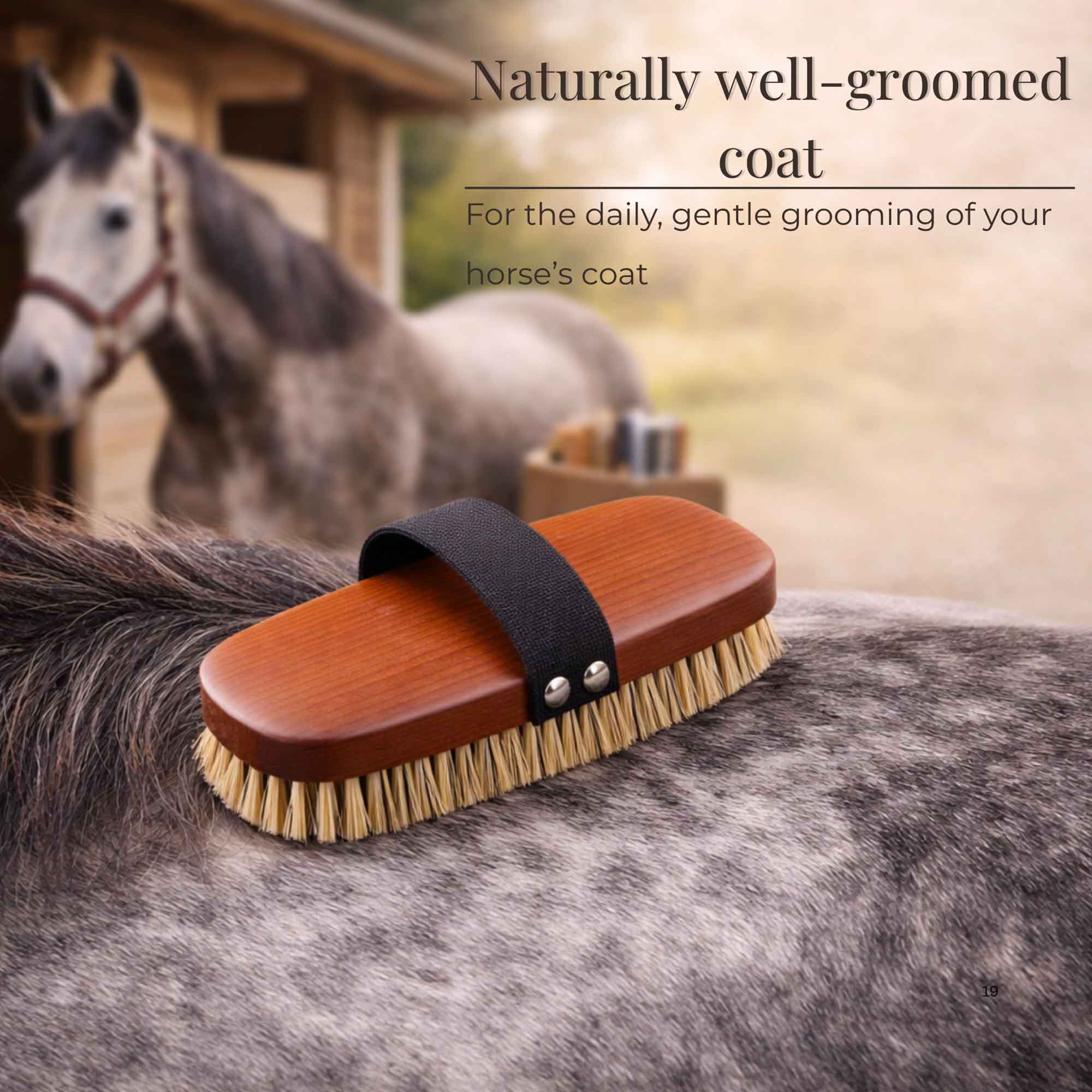 Beechwood horse grooming brush placed on a grey horse coat with another horse in background