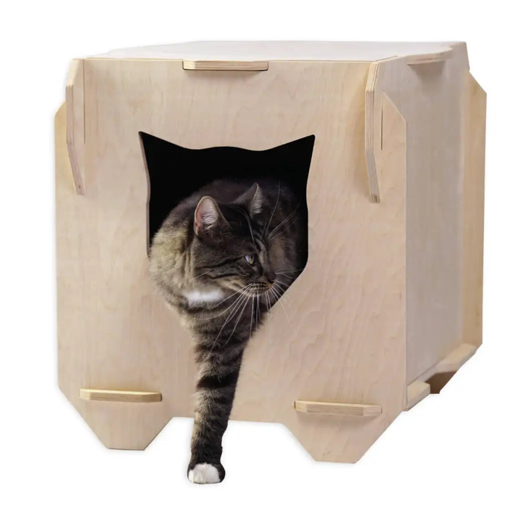 Rustic Wooden Pet Furniture